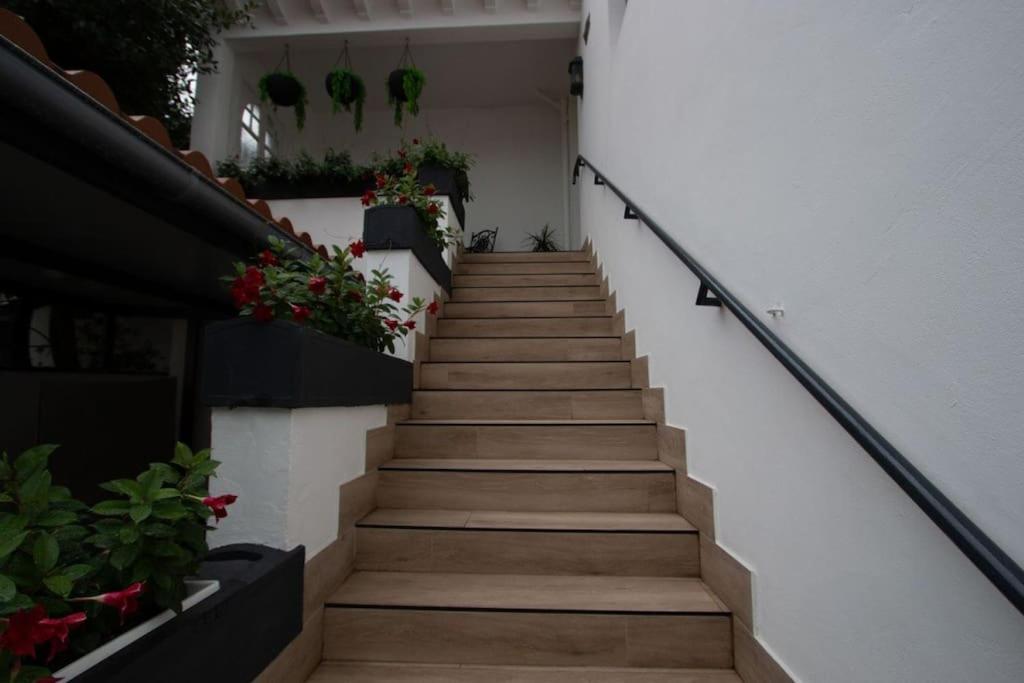 Appartement T3 En Villa Hendaye Zewnętrze zdjęcie